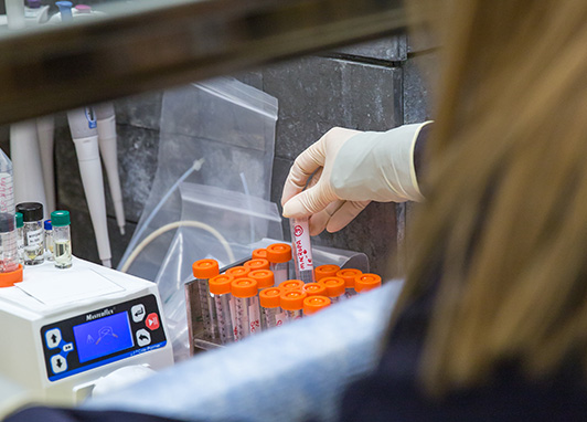 Research capabilities